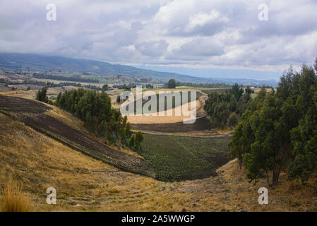Les hautes terres andines fertiles en vertu de Chimborazo, la Moya, Equateur Banque D'Images