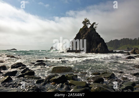 CA03747-00...CALIFORNIE - En venant à marée basse par un jour de vent en plage cachée sur le sentier côtier de la Californie dans le Parc National de Redwoods. Banque D'Images