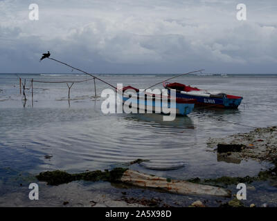 Ochos Rios, Saint Ann, Jamaïque - 22 juin 2017 : Photo d'une frégate oiseau (Fregatidae) reposant sur une canne à pêche en bois avec quelques bateaux ancrés sur un b Banque D'Images
