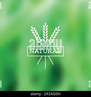 Étiquette vintage naturel sur l'arrière-plan flou Illustration de Vecteur