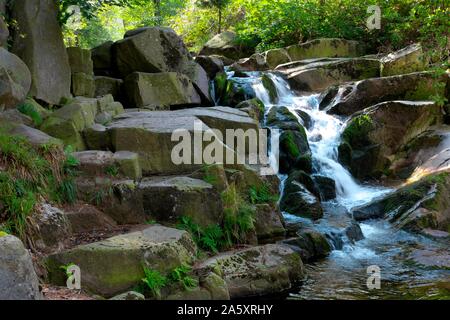 Ilse supérieur Falls, Ilse Vallée, Harz, Saxe-Anhalt, Allemagne Banque D'Images