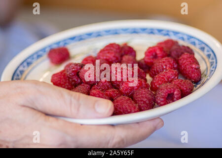 Vue de dessus d'une plaque blanche, pleine de framboises rouges juteux (Rubus idaeus) Banque D'Images