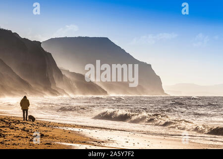 Un matin tôt dog walker sur Charmouth plage dans le Dorset. Banque D'Images