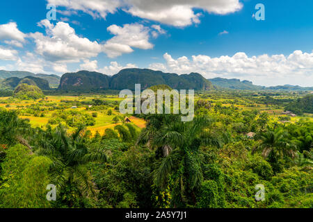 Vallée de Vinales site touristique populaire dans la province de Pinar del Rio, Cuba Banque D'Images