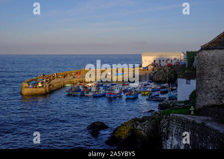 Harbour St Keverne Coverack Helston Cornwall Angleterre Banque D'Images