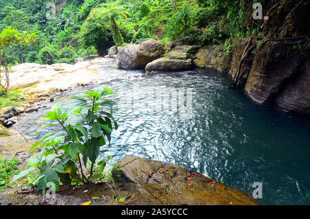 Cascade en forêt | Coban Tundo, Malang, Java Est, Indonésie Banque D'Images