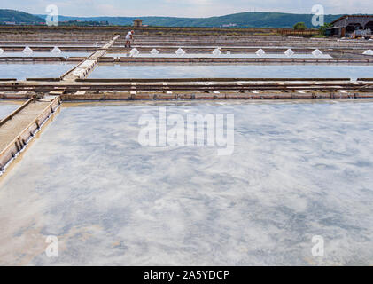 Salines Piran Slovénie Banque D'Images