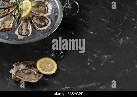 Fresh yummy a ouvert les huîtres, de la glace, du citron vert et un brin de lavande sur une plaque de métal ronde, black stone background. Repas avec champagne à un Banque D'Images