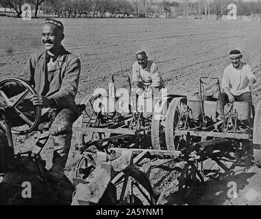 Tachkent (aux environs), l'Ouzbékistan, l'URSS (Union des Républiques socialistes soviétiques). La plantation de coton. Ferme collective Navai. Entre 1930 et 1940 Banque D'Images