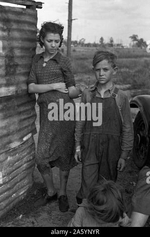 Une partie de la famille d'un travailleur migrant fruit du Tennessee, campé près de l'emballage à Winter Haven, Floride 19370101 Banque D'Images