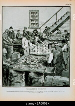 Enfants à la sardinerie couper les têtes et queues de hareng hareng nettoyage pour la mise en conserve d'une photographie par Thomas W. Smillie (1843-1917) Smithsonian's premier photographe personnel Banque D'Images