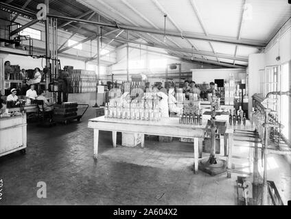 Les usines de juifs en Palestine sur la plaine de Sharon et le long de la côte de Haïfa. Haïfa. 'Svirs' huilerie. Banque D'Images