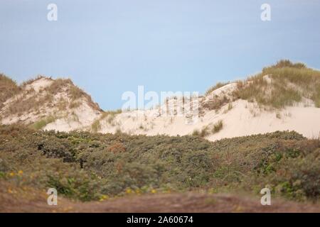 Quend, plage, aire de conservation de Belle Dune, Conservatoire du littoral (Français) Agence de protection du littoral Banque D'Images