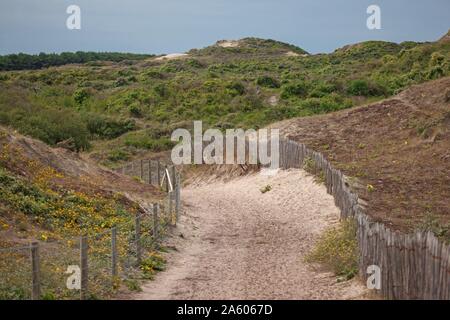 Quend, plage, aire de conservation de Belle Dune, Conservatoire du littoral (Français) Agence de protection du littoral Banque D'Images