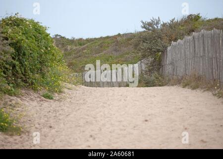 Quend, plage, aire de conservation de Belle Dune, Conservatoire du littoral (Français) Agence de protection du littoral Banque D'Images