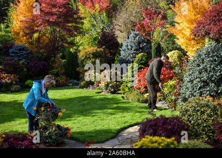 Couple de retraités Marie et Tony Newton dans leur jardin des Quatre Saisons qu'il éclate dans des couleurs automnales à leur domicile, à Wolverhampton, West Midlands. Banque D'Images