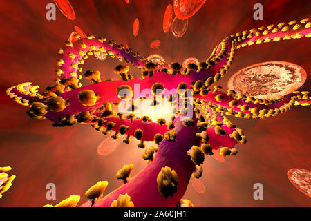 Rendu 3D Illustration d'un virus ebola dans le jet de sang, entouré par les globules rouges Banque D'Images