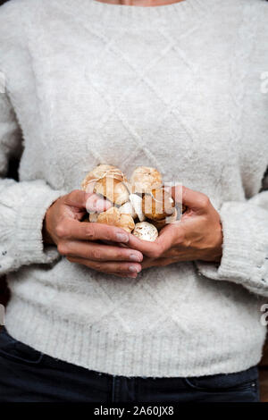 Close-up of woman holding fresh porcinis Banque D'Images