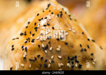 Bukharian (ouzbek) pâtisseries traditionnelles, l'agneau farci de répondre et l'oignon, avec du sésame et nigelle Banque D'Images