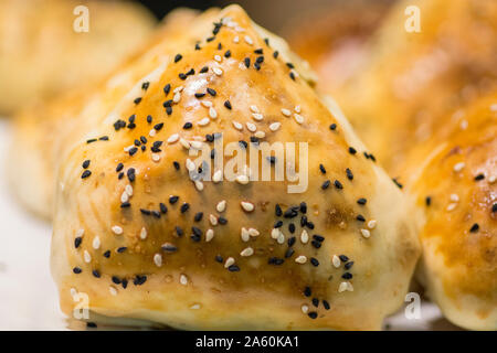 Bukharian (ouzbek) pâtisseries traditionnelles, l'agneau farci de répondre et l'oignon, avec du sésame et nigelle Banque D'Images