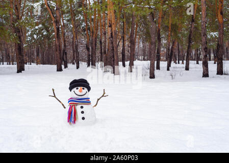Paysage d'hiver avec un bonhomme dans un parc de la ville. Prairie enneigée près de pins Banque D'Images