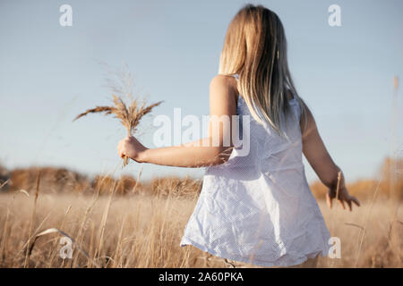 Vue de l'arrière petite fille de recueillir sur les herbes de prairie d'automne Banque D'Images