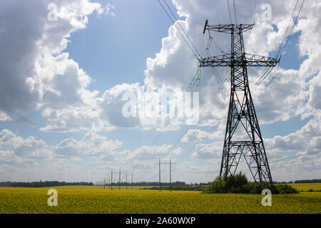 Ligne d'alimentation passe à travers le terrain. Les fleurs de colza sur le terrain. Banque D'Images