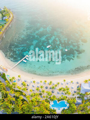 Vue panoramique de la plage bordée de palmiers de luxury resort baignée par la mer des Caraïbes à partir de ci-dessus, Morris Bay, Old Road, Antigua, Iles sous le vent, West Indies Banque D'Images