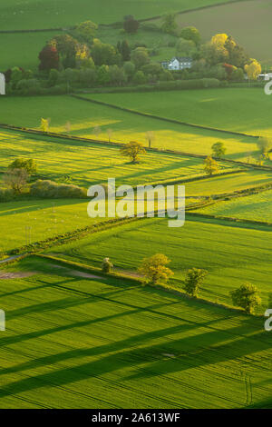 Des terres agricoles vallonnées au printemps dans le parc national de Brecon Beacons, Powys, Pays de Galles, Royaume-Uni, Europe Banque D'Images