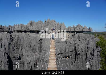 Parc National Tsingy de Bemaraha, UNESCO World Heritage Site, Région Melaky, Madagascar, Afrique de l'Ouest Banque D'Images