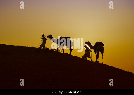 Deux hommes Rabari l'ascension d'une dune avec leurs dromadaires au coucher du soleil, le grand désert du Rann de Kutch, Gujarat, Inde, Asie Banque D'Images
