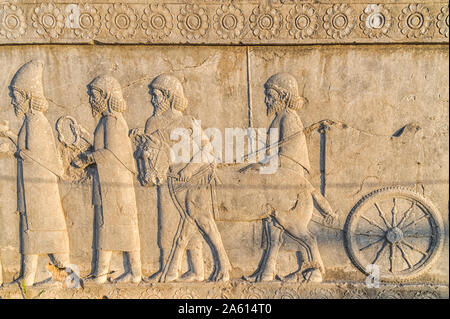 Façade escalier Apadana, soulagement de la achéménides, mèdes et perses, Persepolis, l'UNESCO, la province du Fars, République islamique d'Iran, Moyen-Orient Banque D'Images