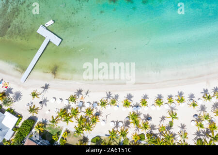 Vue aérienne par drone de parasols sur la plage bordée de palmiers tropicaux baignée par la mer des Caraïbes, Antilles, Antilles, Caraïbes, Amérique Centrale Banque D'Images