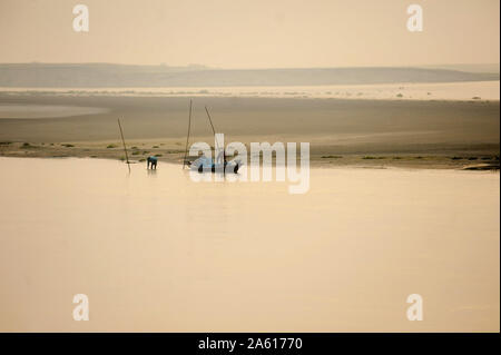 Compensation des hommes les prises de leurs filets de pêche au coucher du soleil dans le courant rapide de eaux du fleuve Brahmapoutre, Assam, Inde, Asie Banque D'Images