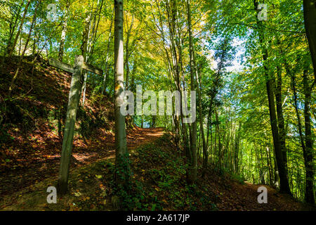 Le Cotswold Way et sentier public menant à une grande villa romaine dit Witcombe dans Cooper's Hill Wood, Arles, France Banque D'Images