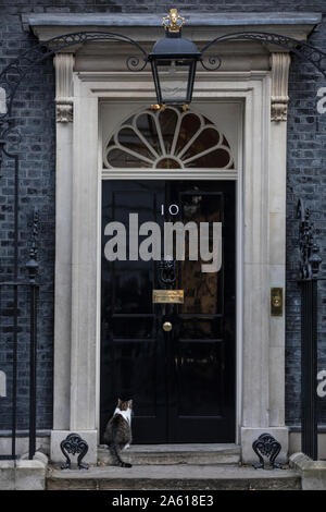 Larry le chat à l'extérieur de 10 Downing Street où il est l'actuel chef du Bureau du Cabinet à Mouser, Whitehall, Londres, UK Banque D'Images