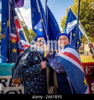 Anti-Brexit manifestants devant le Parlement, Westminster, London, UK. Banque D'Images