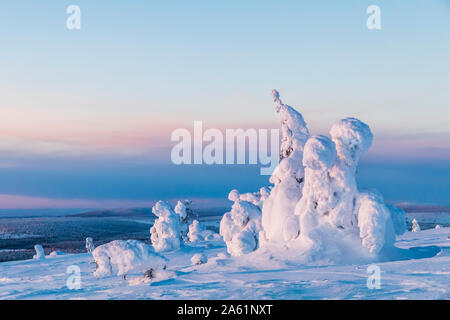 Paysage de neige dans le Parc National de Pallas-Yllästunturi Banque D'Images