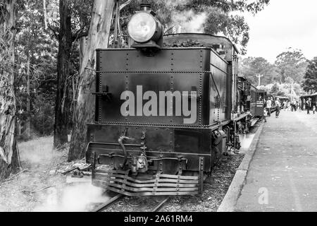 Melbourne, Australie - le 7 janvier 2009 : Puffing Billy Steam Train sur la station. Dans le chemin de fer étroit historique de Dandenong près de Melbourne. Banque D'Images