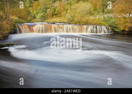 Le Wath Wain vigueur à l'automne. Une cascade populaire sur la rivière swale près de Keld, Swaledale, Yorkshire Dales National Park, England, UK. Banque D'Images