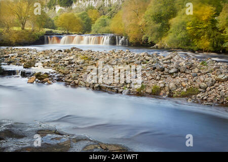 Le Wath Wain vigueur à l'automne. Une cascade populaire sur la rivière swale près de Keld, Swaledale, Yorkshire Dales National Park, England, UK. Banque D'Images