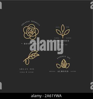 Vector set de modèles de conception d'emballage doré et emblèmes - beauté et cosmétiques - huiles d'argan, de rose et d'amande, l'arbre de thé. Dans le quartier branché d'Logos sty linéaire Illustration de Vecteur