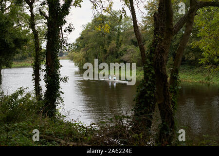 Les rameurs sur la rivière Liffey, Dublin, Irlande. Banque D'Images