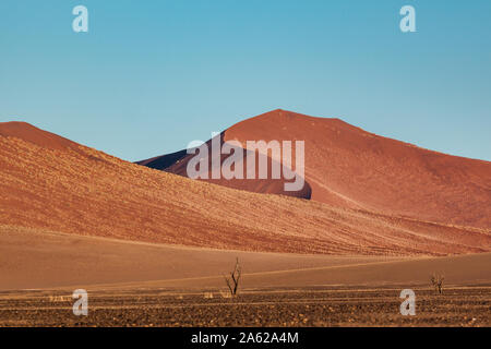 Dune 45 au coucher du soleil dans le désert du Namib, Namibie Banque D'Images