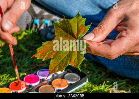 Peinture de la feuille d'érable Banque D'Images