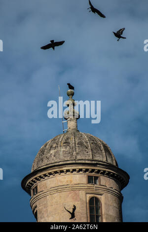 Les corneilles encerclant la tour de Wollaton Hall à Nottingham Banque D'Images