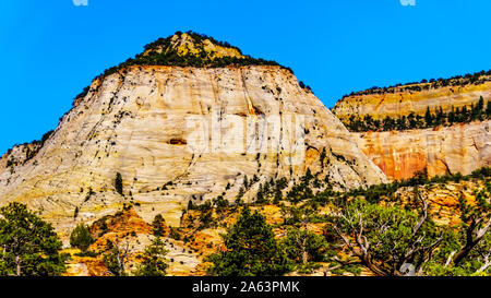 Les sommets blancs des montagnes de grès et Mesas le long de la route de Zion-Mt Carmel.le parc national de Zion dans l'Utah, United States Banque D'Images