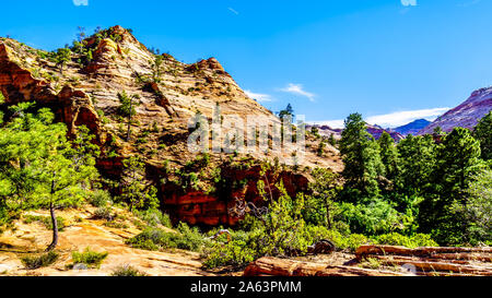 Les sommets des montagnes de grès et Mesas le long de la route de Zion-Mt Carmel.le parc national de Zion dans l'Utah, United States Banque D'Images