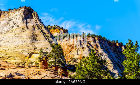 Les sommets blancs des montagnes de grès et Mesas le long de la route de Zion-Mt Carmel.le parc national de Zion dans l'Utah, United States Banque D'Images