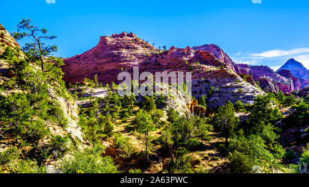 Les sommets des montagnes de grès et Mesas le long de la route de Zion-Mt Carmel.le parc national de Zion dans l'Utah, United States Banque D'Images